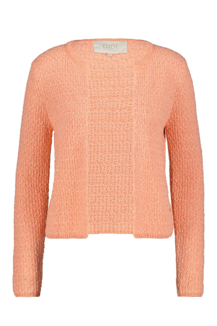 DiDi Cardigan Louisa Desert flower- Truien & Vesten | Cardigans